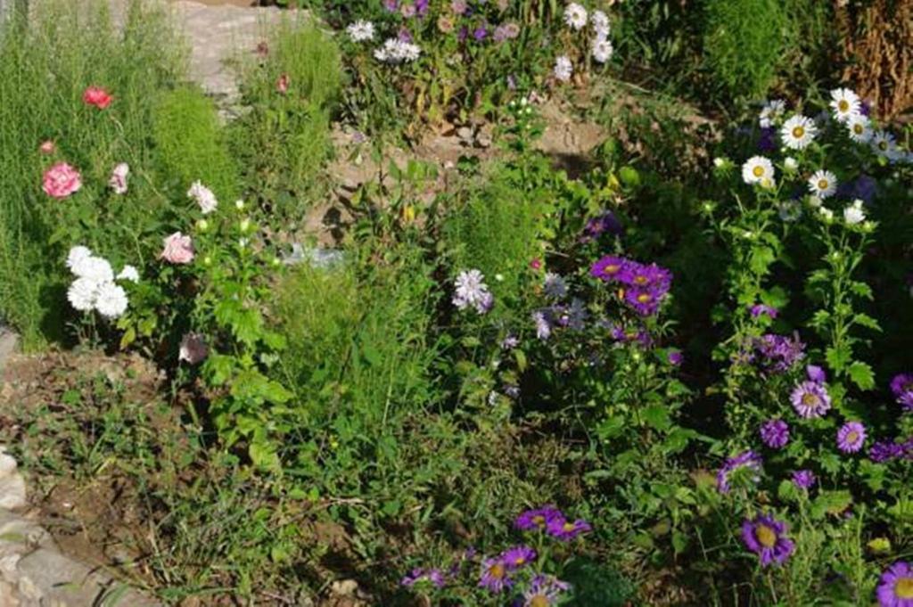 Areni House B&B Exterior foto